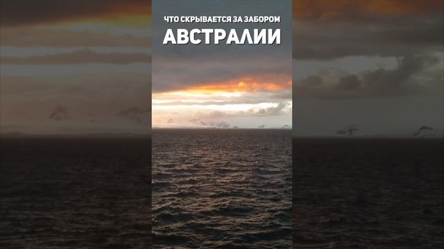 Что скрывается за Великой Австралийской стеной