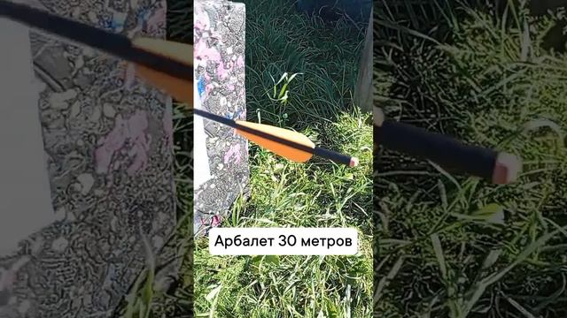 развлекательная стрельба из арбалета