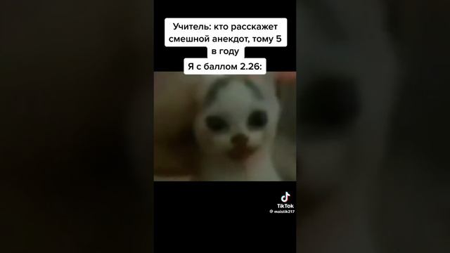 разкпз про чёрного сталкера