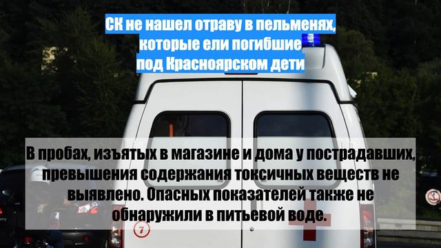 СК не нашел отраву в пельменях, которые ели погибшие под Красноярском дети