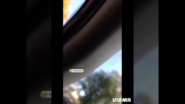 ТОП 20. ЮМОРЫ