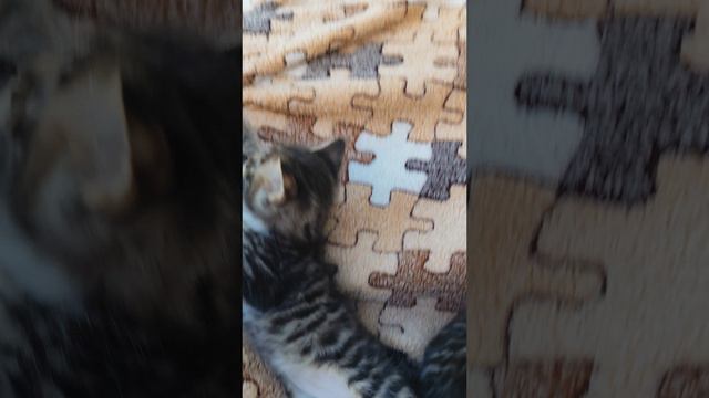 1000070762.mp4