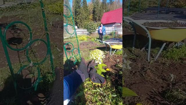 Наводим порядок на даче/Осеняя уборка на нашем огороде/Дачные будни/огородные хлопоты!!!