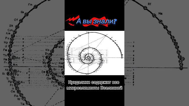 Все микроэлементы вселенной в Кундалини