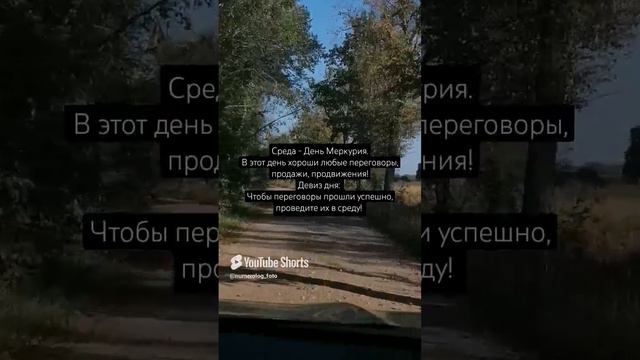 Среда хороша для переговоров✨.mp4