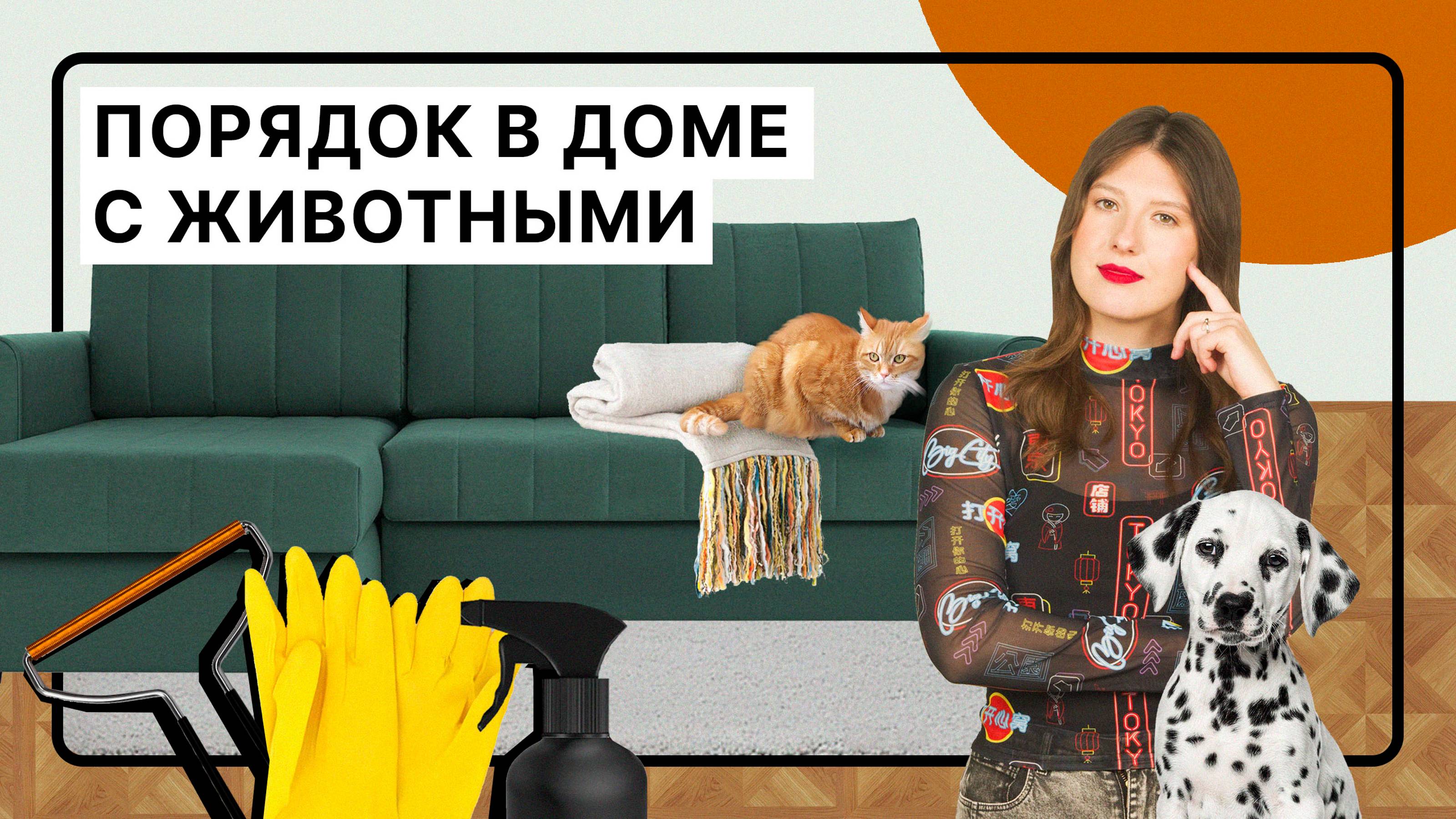 Животные в доме | Чек-лист: Как поддерживать чистоту