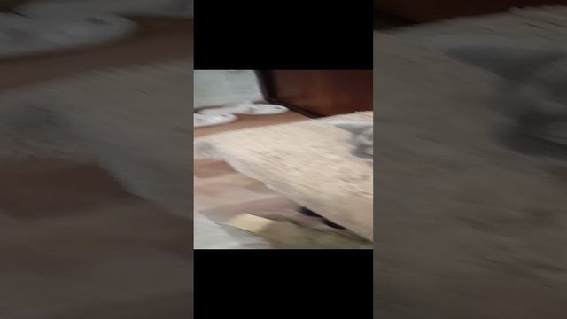 наша кошка😁😁😁
