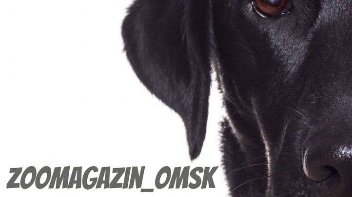 Как правильно наклеить задний фон аквариума на аквариум ?