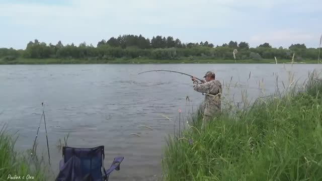 Донки в Бублик когда ЛЕЩИ с ЛОПАТУ! Рыбалка летом на Оке!