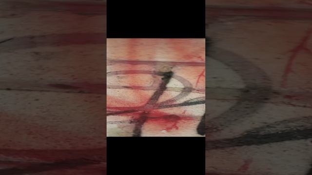 1000005752.mp4