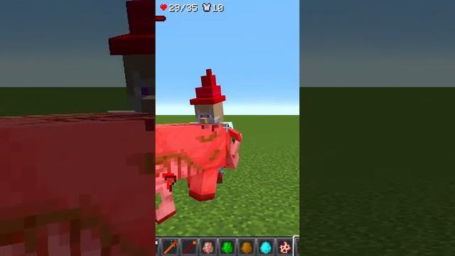 Zoglin vs Armored Garden Gnome the Sunbird in Minecraft