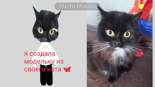 котик