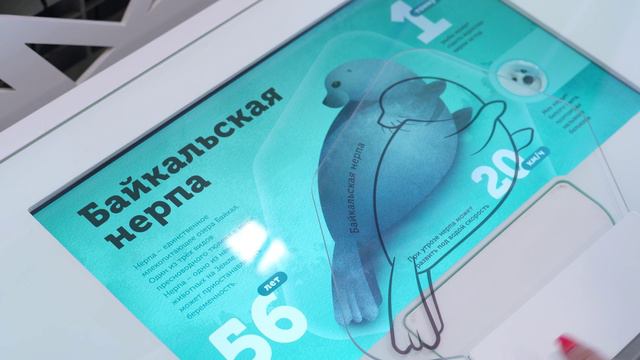Заповедное прибайкалье
