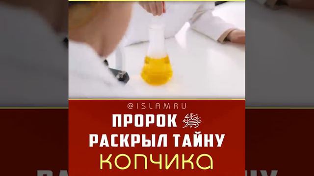 Тайна копчика