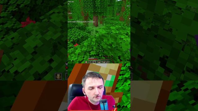 Minecraft. Анекдот 38