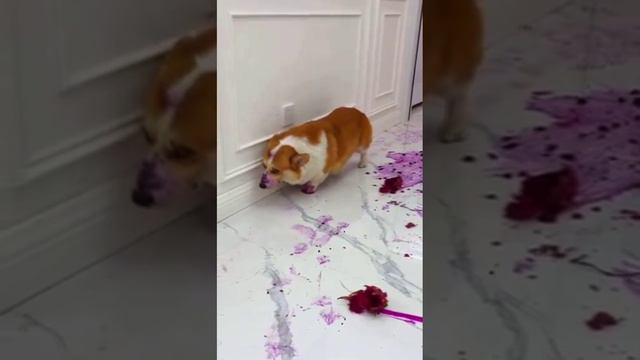 Попытка скрыться с места преступления