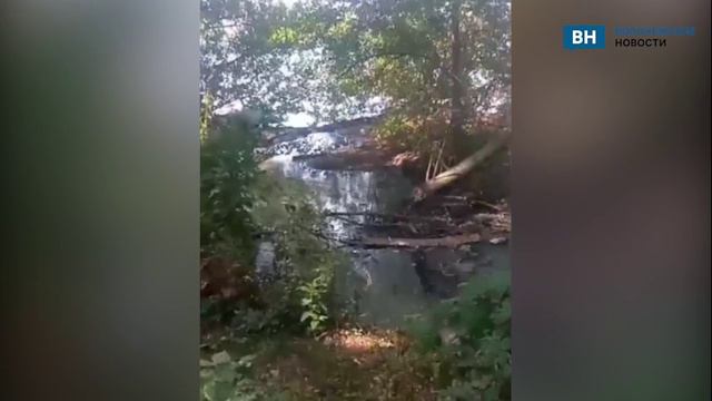 Видеоролик с незаконным сбросом нечистот в Воронежское водохранилище опубликовал «Народный фронт»