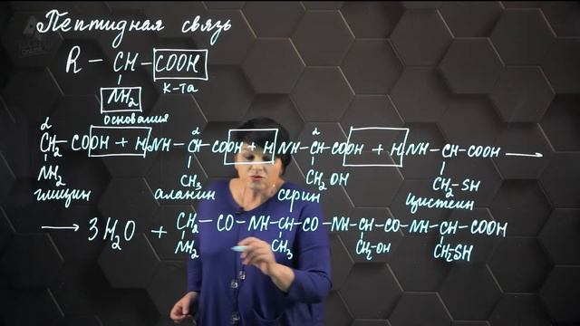 23_Пептидная связь. 11 класс.