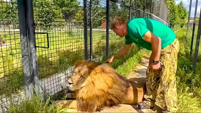 Мариупольский лев Самсон НЕ ОЧЕНЬ БЫЛ РАД нашему с Олегом Зубковым приходу)))