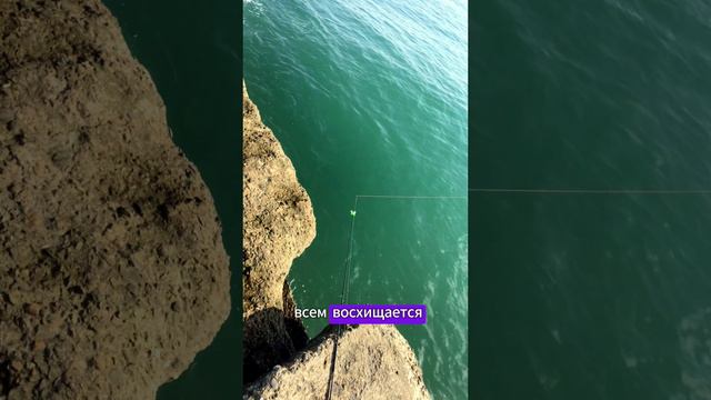 У РЫБАКОВ СВОЕ ИСКУССТВО | СЧАСТЬЕ | РЫБАЛКА 🐠 #рыбалка #fishing #море #сочи #осень #утро #солнце