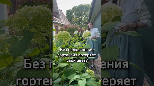 ГОРТЕНЗИЯ Ответы эксперта