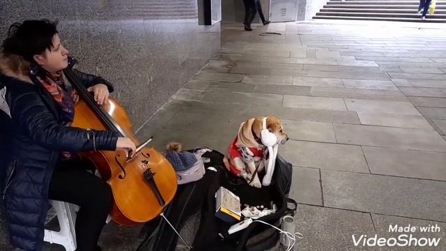 Арбатская Не смогла пройти мимо