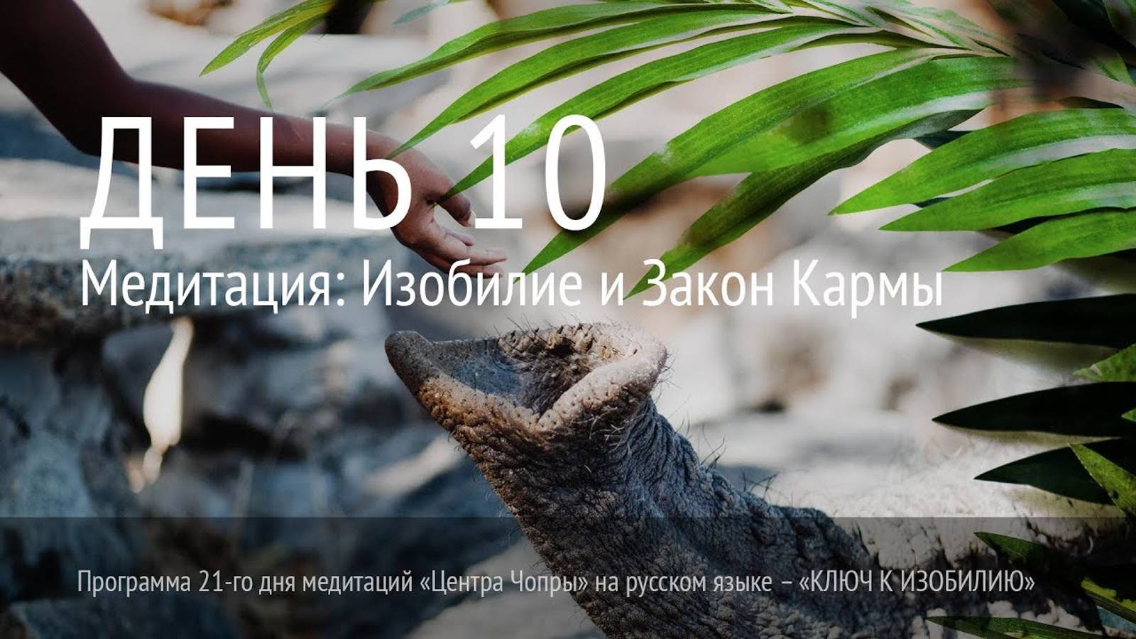 День 10. Марафон Изобилия. хорошая озвучка. Дипак Чопра. 21 день изобилия