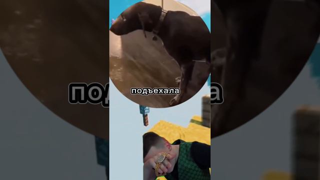 пиу пиу влажная уборка