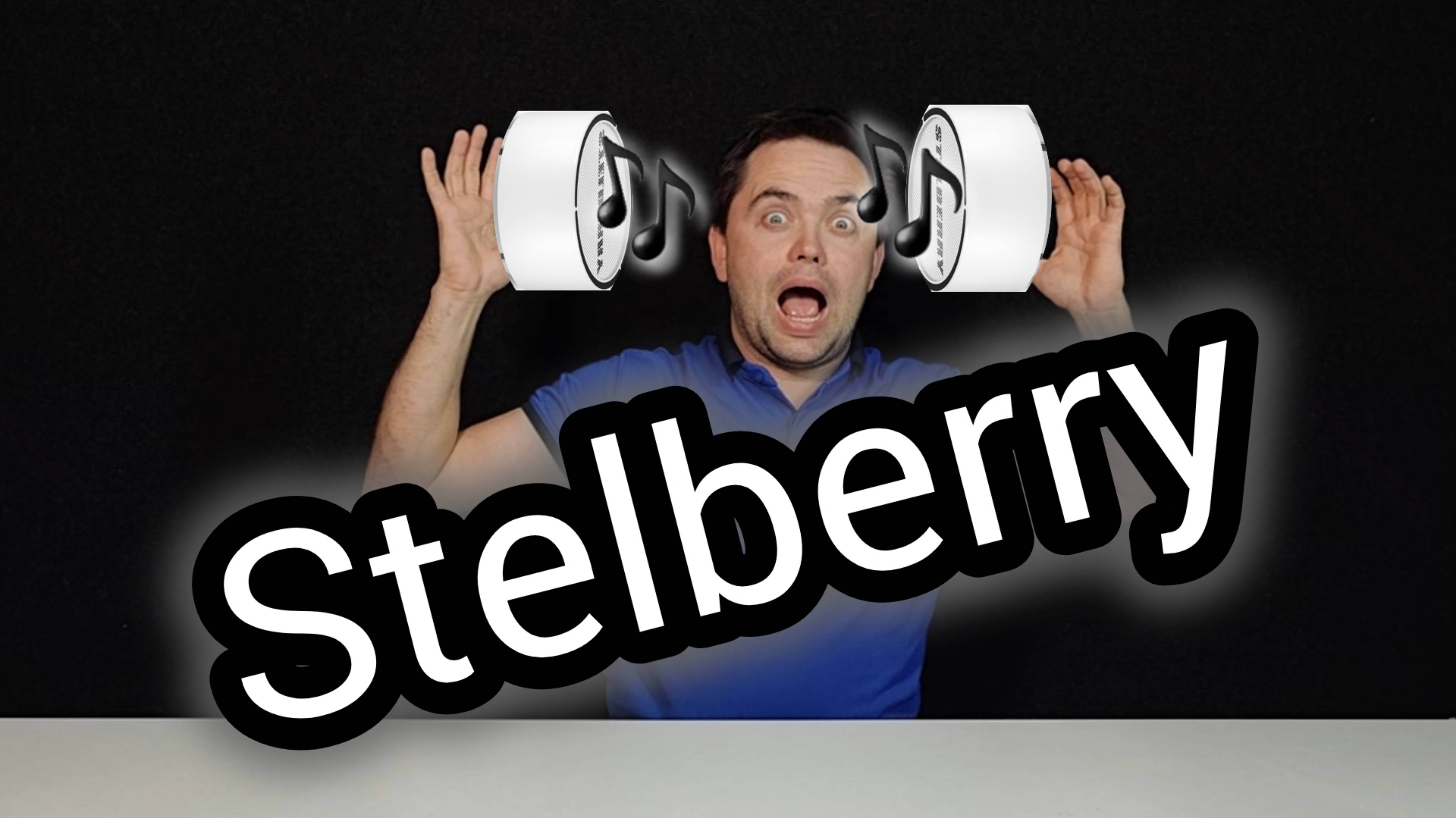 О компании Stelberry