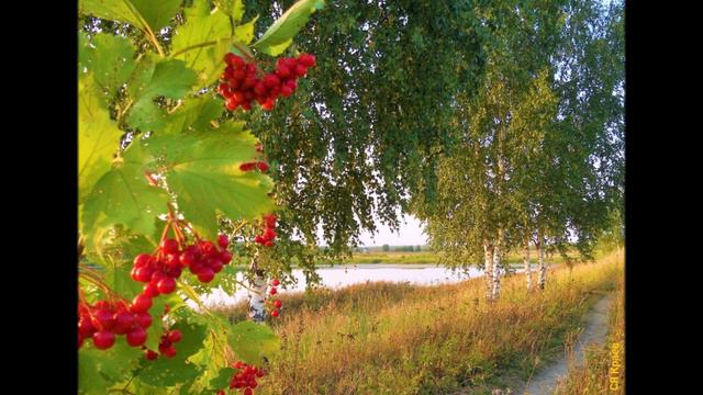 ТЫ У КАЛИНЫ ЖДИ - исп. В.Андрианов, СК Б.Колодези