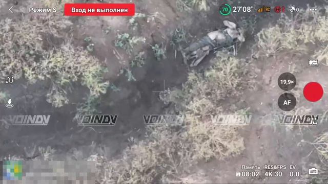 Боевые холопы войск ЛГБТ* НАТО