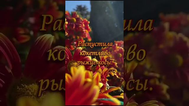 ОСЕНКЕ-ЛЕТНИЙ РОМАН