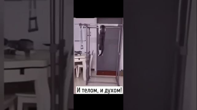 Спорт это всё 😸