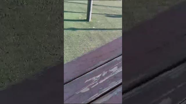 1000003603.mp4