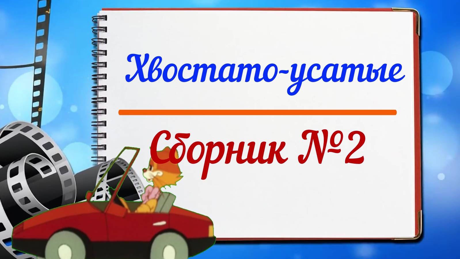 Сборник роликов про усато-хвостатых №2