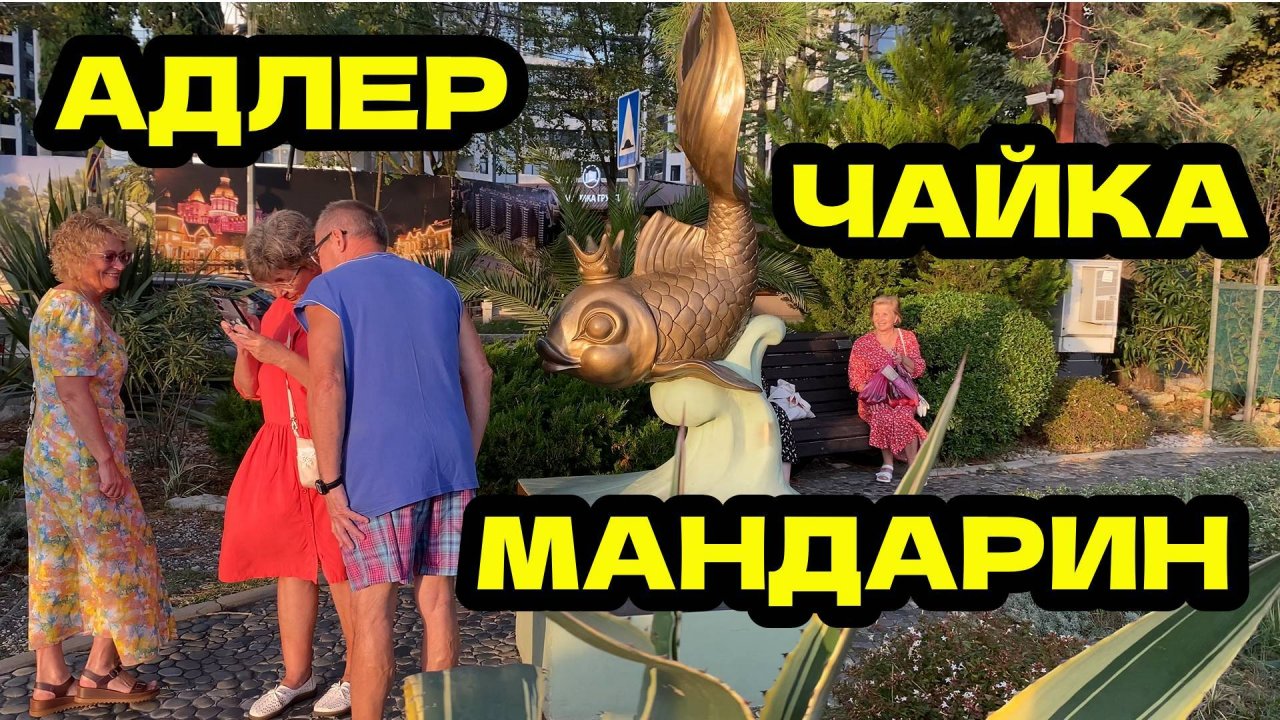 АДЛЕР СОЧИ 2024 | ЧАЙКА - МАНДАРИН - НАБЕРЕЖНАЯ МЗЫМТЫ