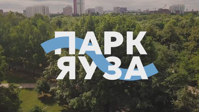 Обследование деревьев в парке «Яуза»