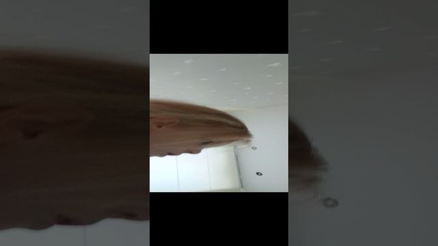 Паузу челенж