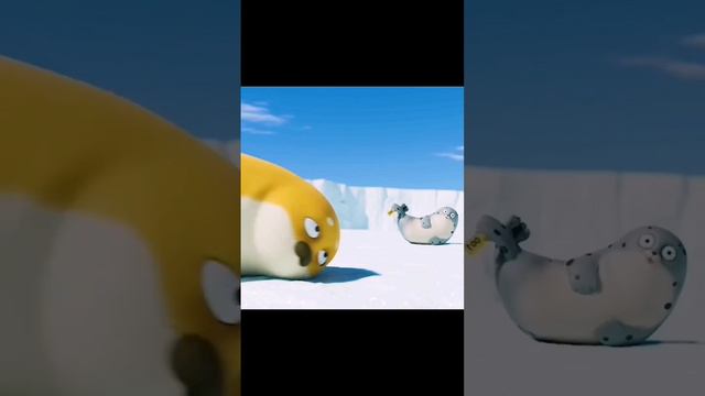 Два тюленя и чайка