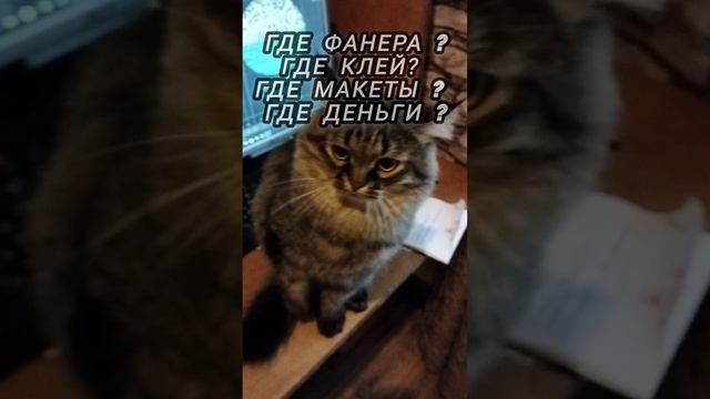 Рабочие будни шерстяного лазерщика!