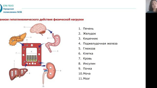 Занятие 3: Гипогликемия