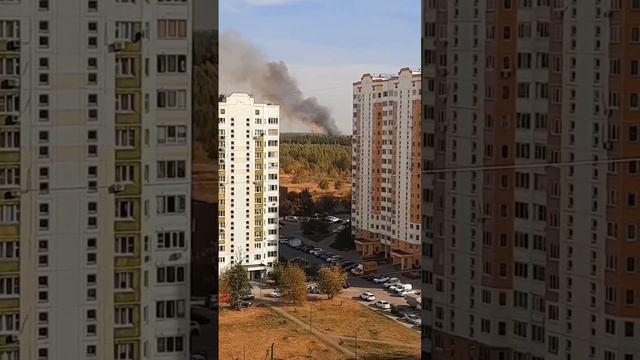 В Балашихе за Трубецкой загорелся лес