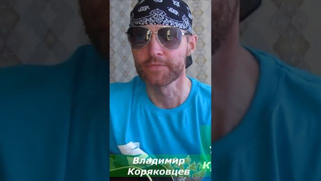 #Shorts "Пора домой!"ВладимирКоряковцев#поэзия#творчество#литература#стихи