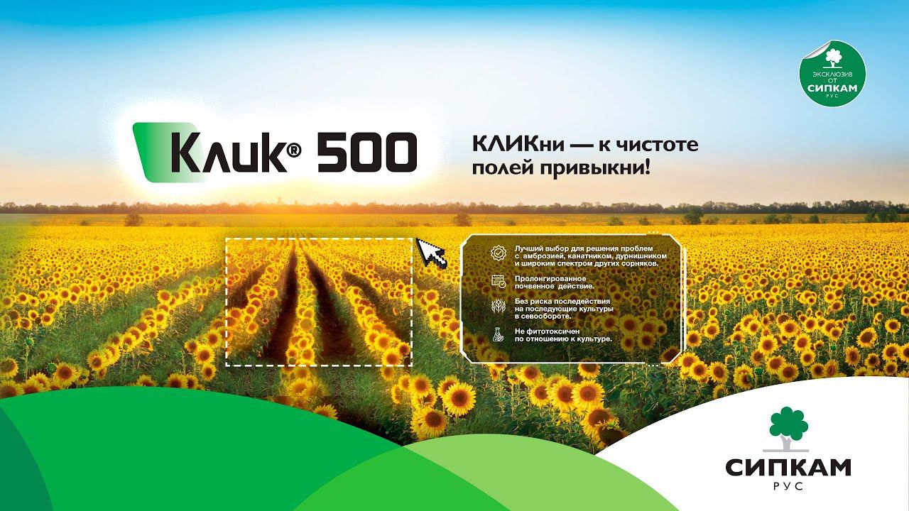 КЛИК 500 - уникальный гербицид для подсолнечника и кукурузы!