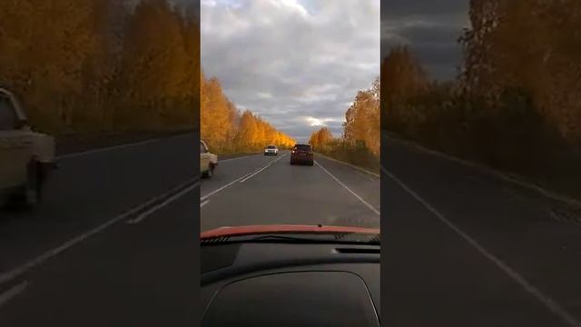 золотая осень.mp4