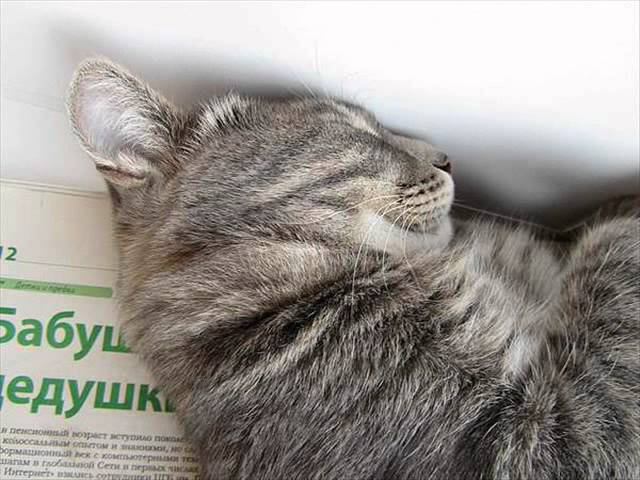 filipp.wmv