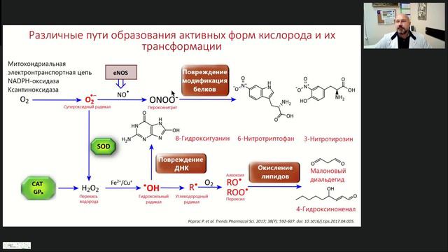 Вебинар "НАЖБП и коморбидность в фокусе ИБС"