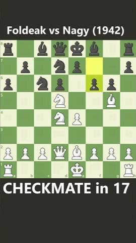 CHECKMATE in 17