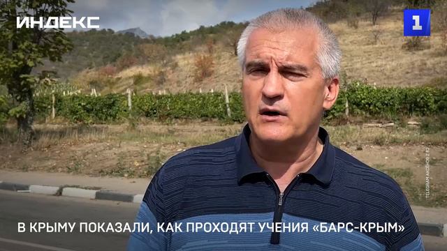 В Крыму показали, как проходят учения «Барс-Крым»