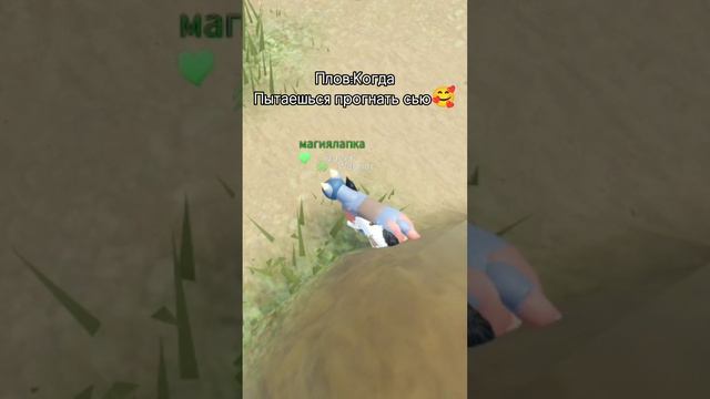 ПЛОВ:пытаешься прогнать сью🥰